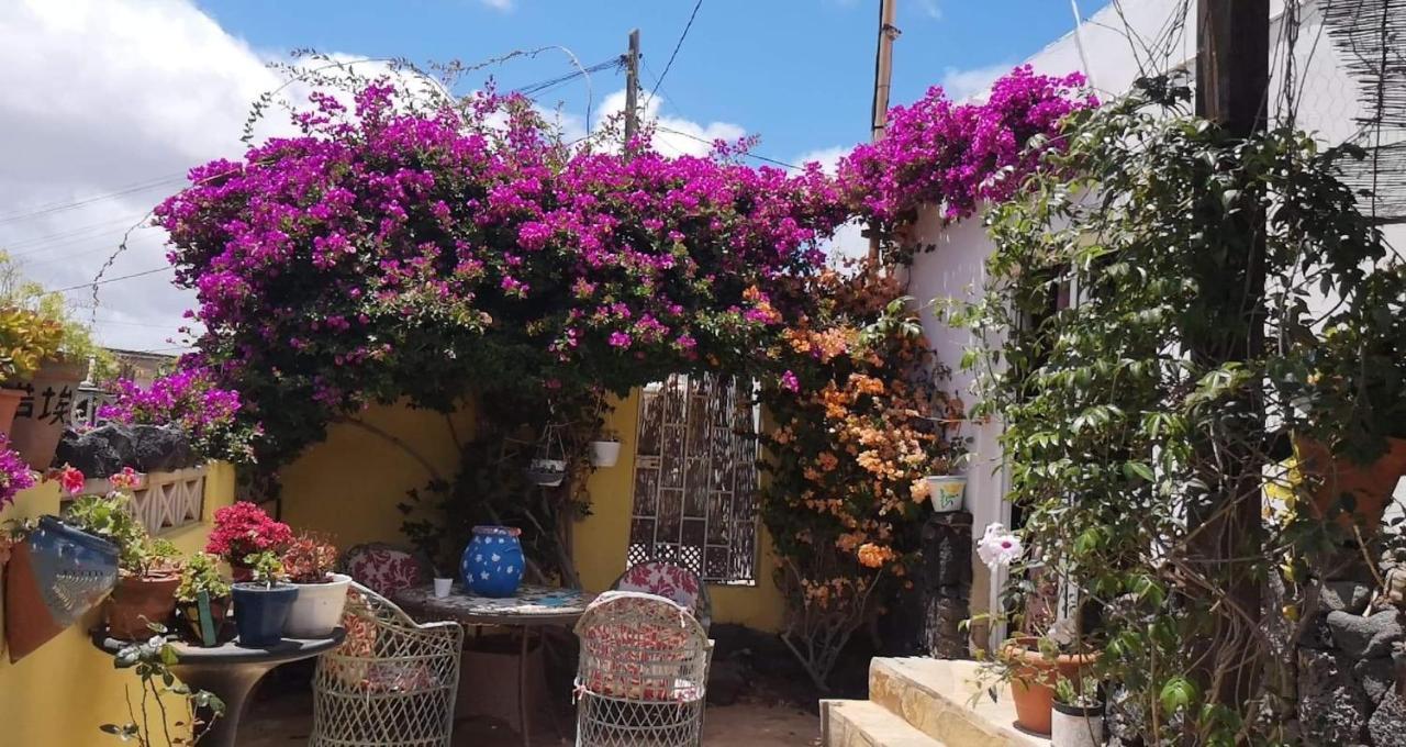 Casa De Gato Rustic Finca Tahiche 外观 照片