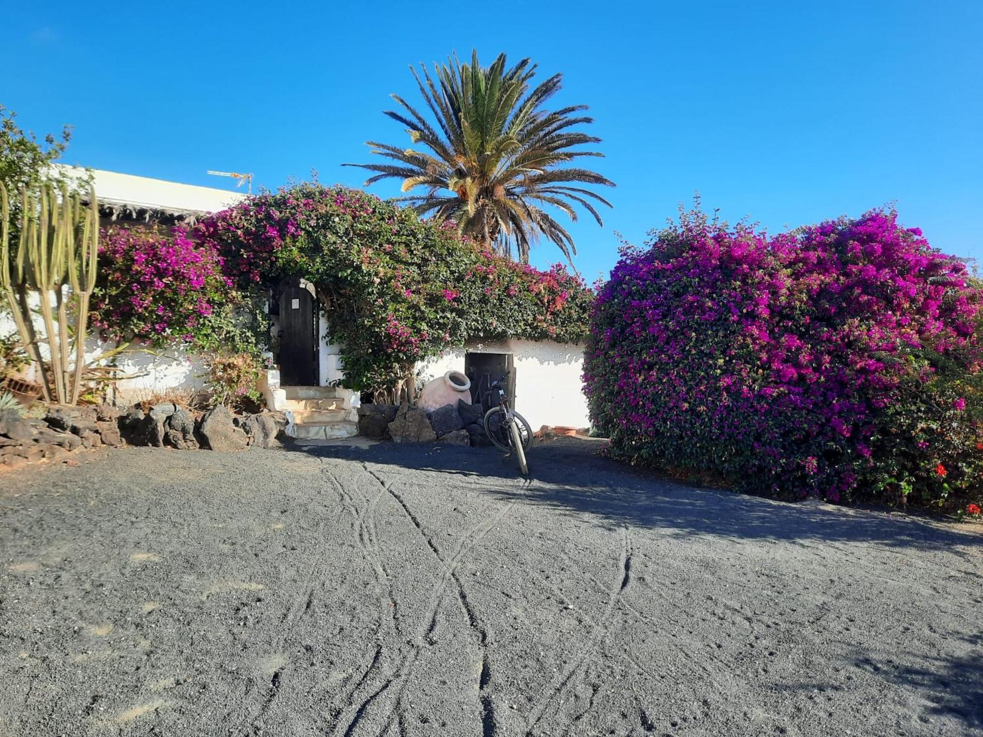Casa De Gato Rustic Finca Tahiche 外观 照片
