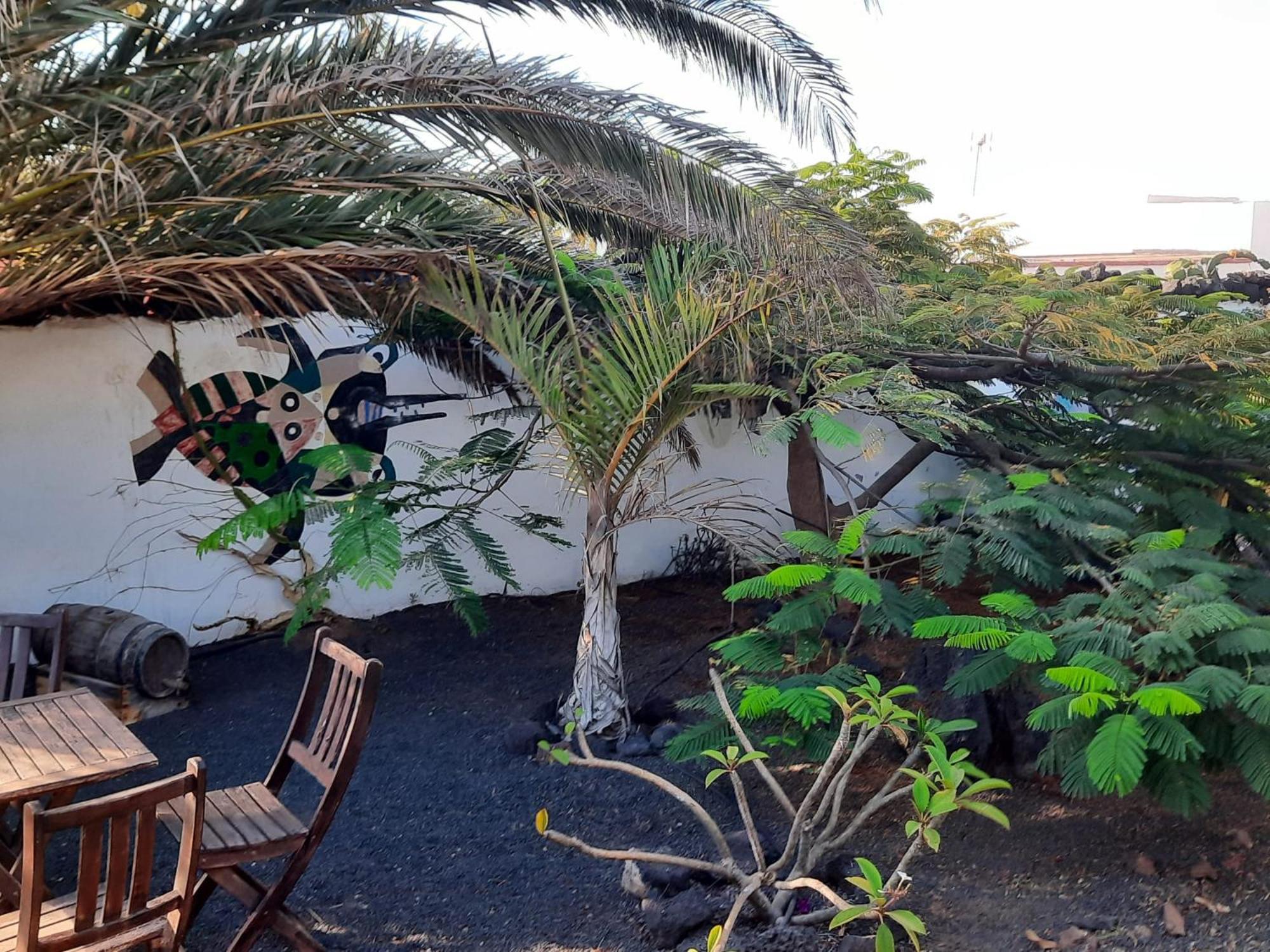 Casa De Gato Rustic Finca Tahiche 外观 照片
